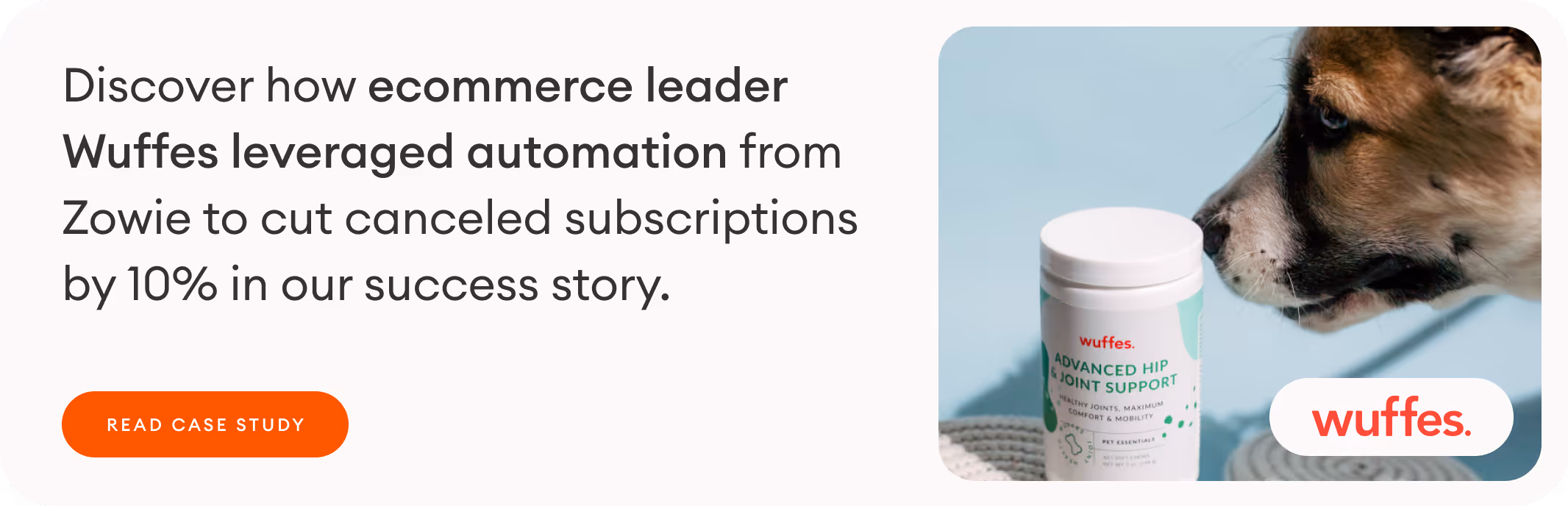 Discover how customer service automation helped Wuffes cut canceled subscriptions by 10%.