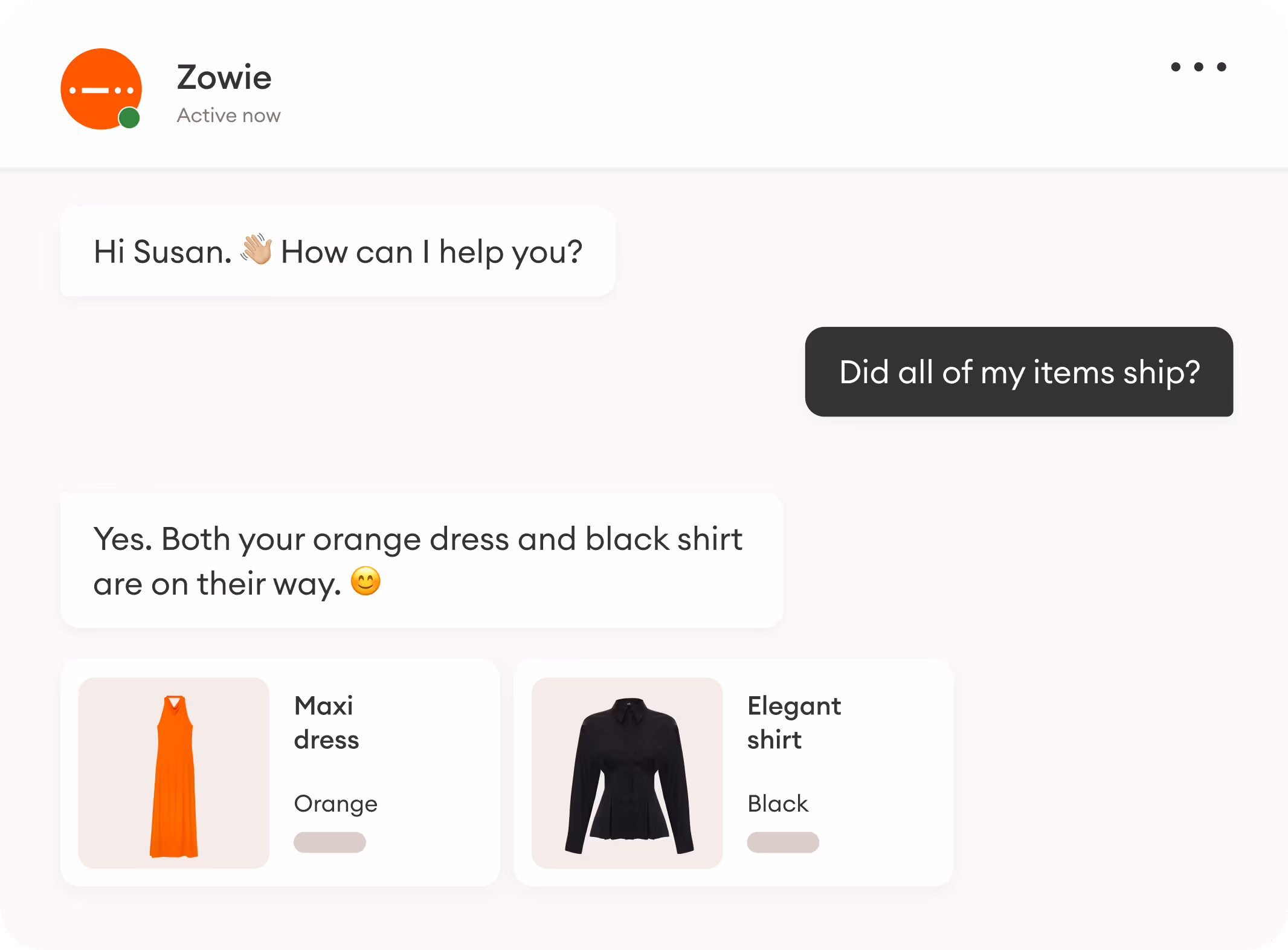a customer chat with the Zowie Chatbot