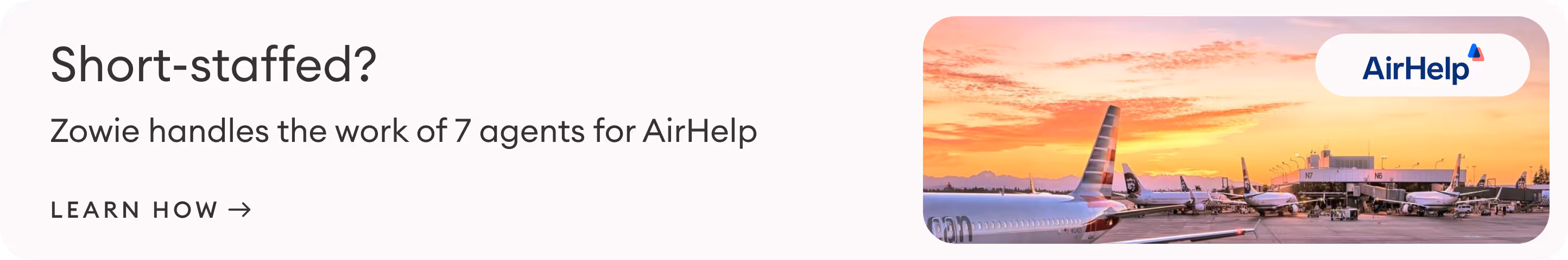 Learn how Zowie handles the work of 7 agents for AirHelp