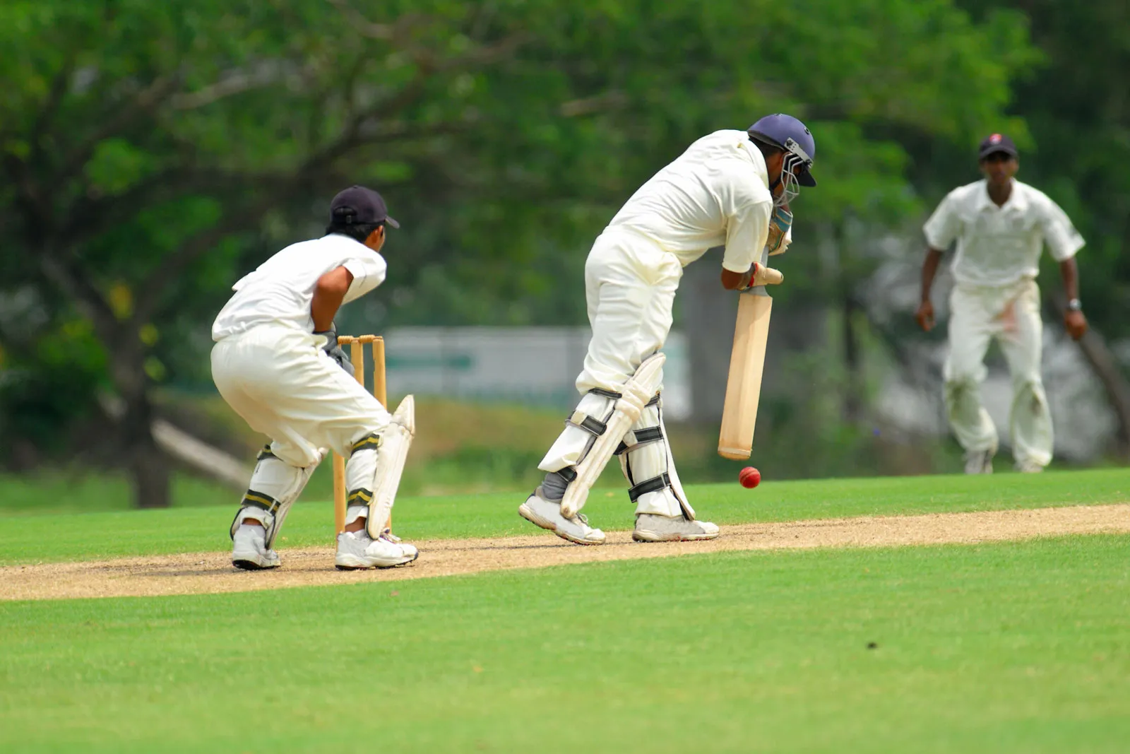 People playing Cricket