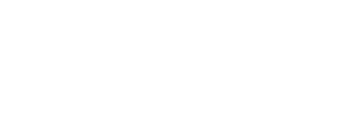 Logo Comerso blanc rectangle