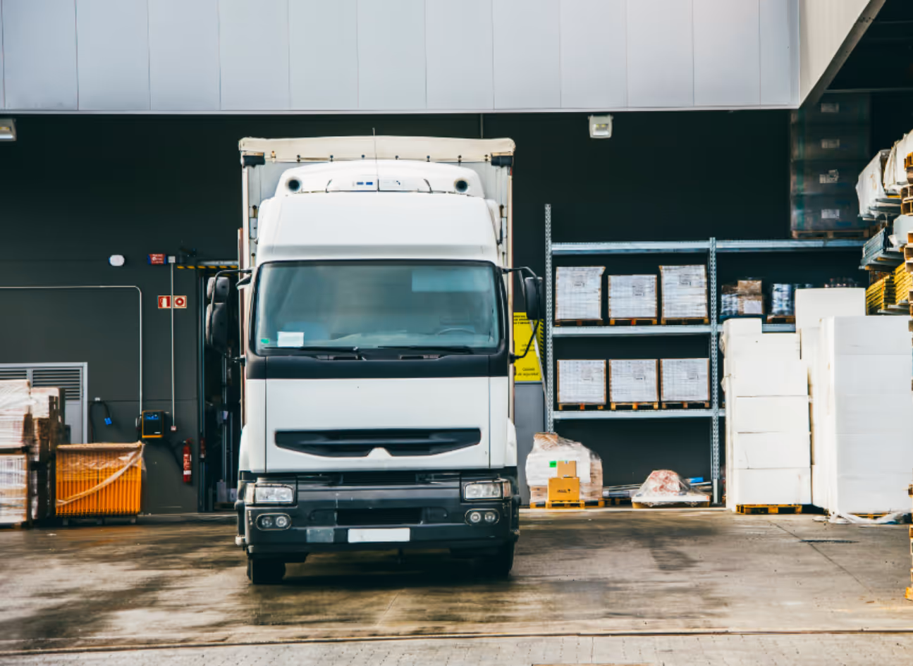 collecte en magasin nature et decouvertes