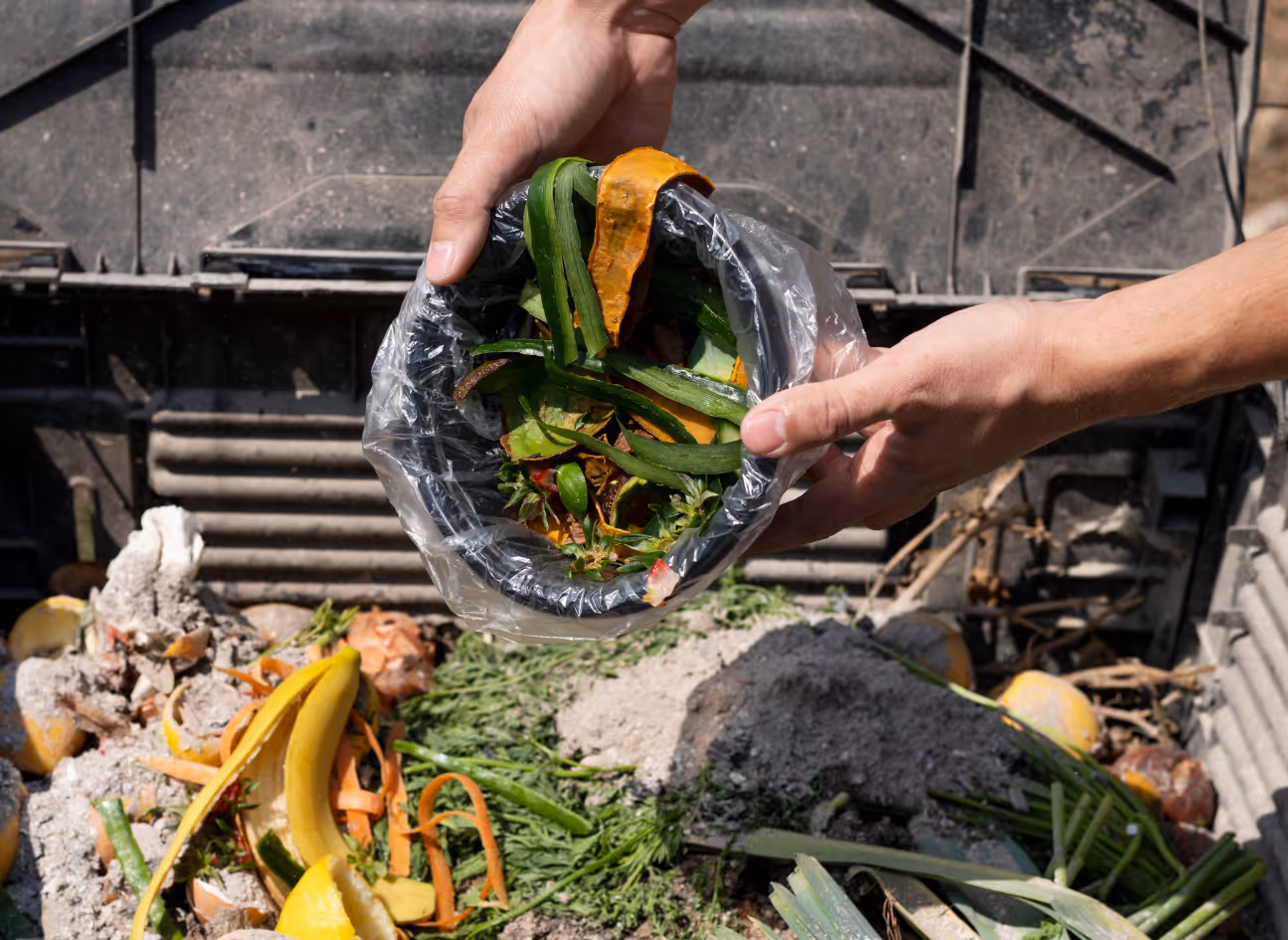 Femme posant un carton dans une étagère