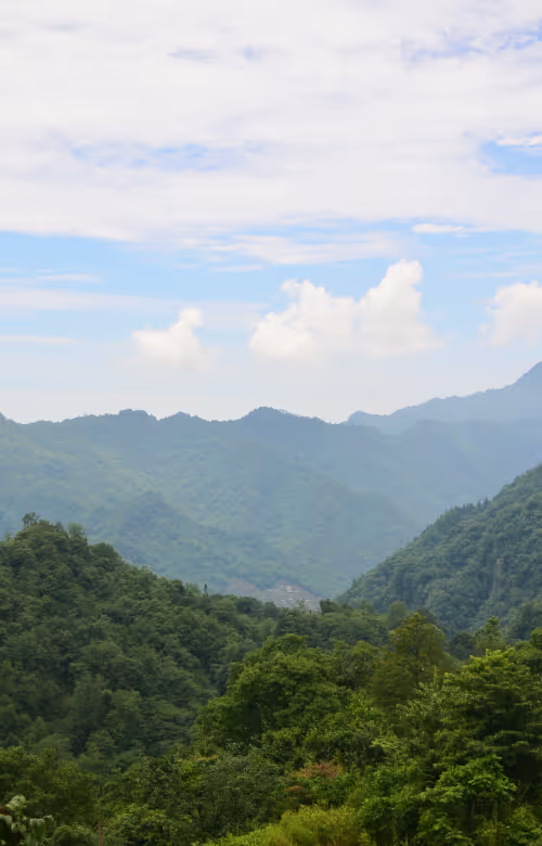 Une personne est sur son ordinateur