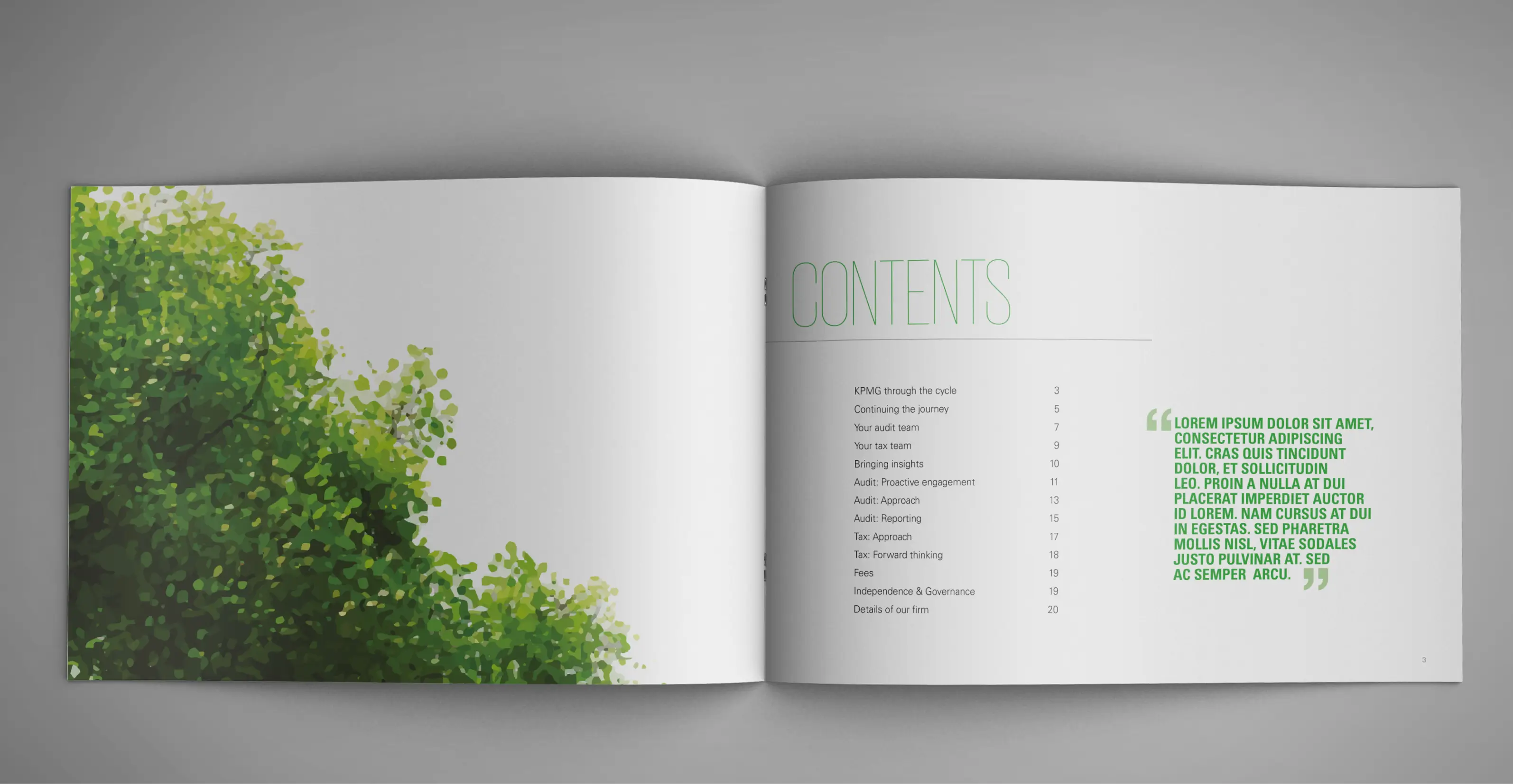 A Legacy Made Visible