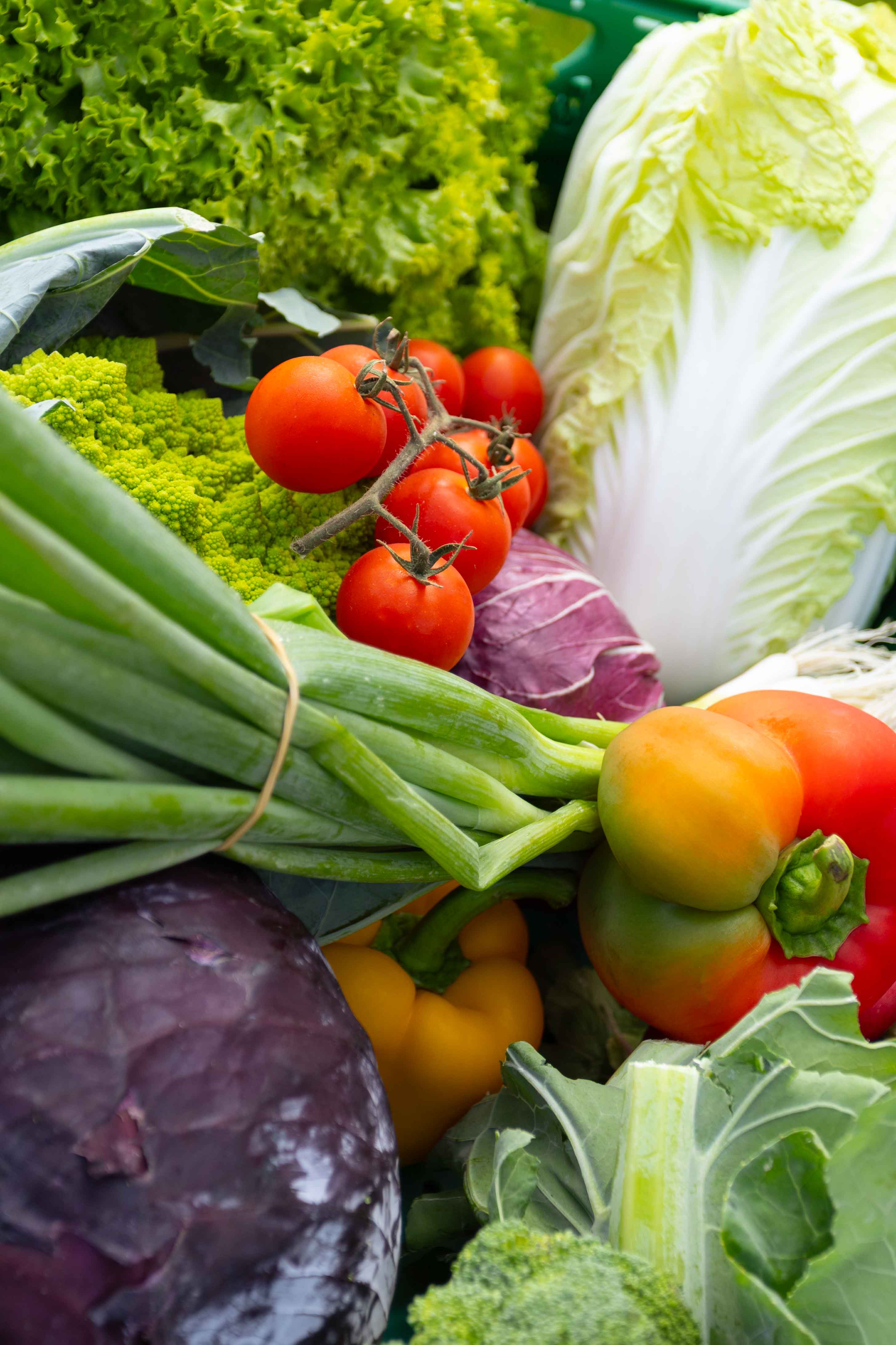 Eine bunte Auswahl frischer Gemüse mit Tomaten, Paprika, Frühlingszwiebeln, Salat, Brokkoli und Kohl.