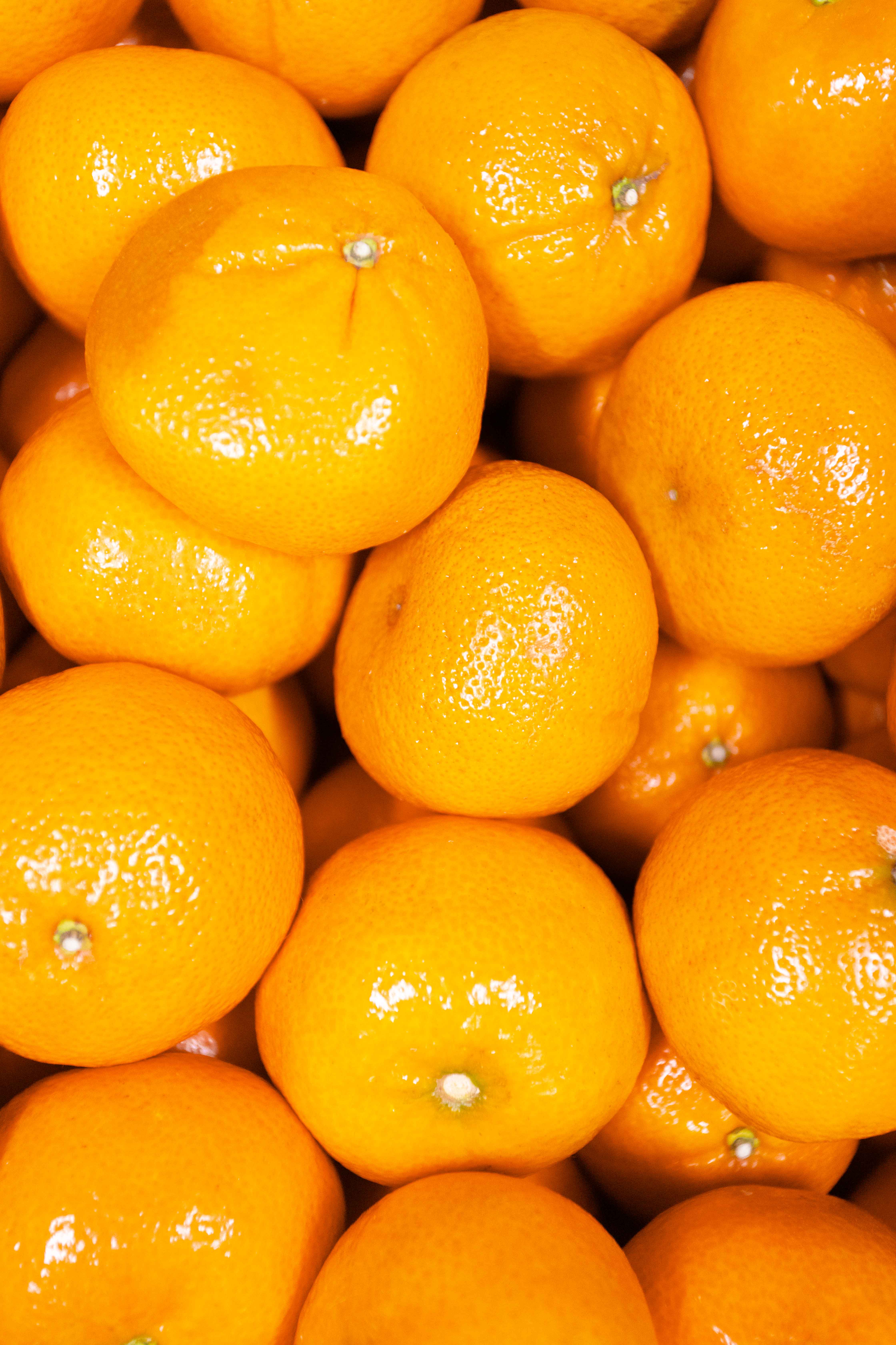 Nahaufnahme mehrerer glänzender, frischer Mandarinen, dicht nebeneinander.