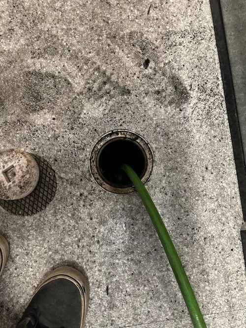Green garden hose inserted into a round floor drain on a textured concrete surface.