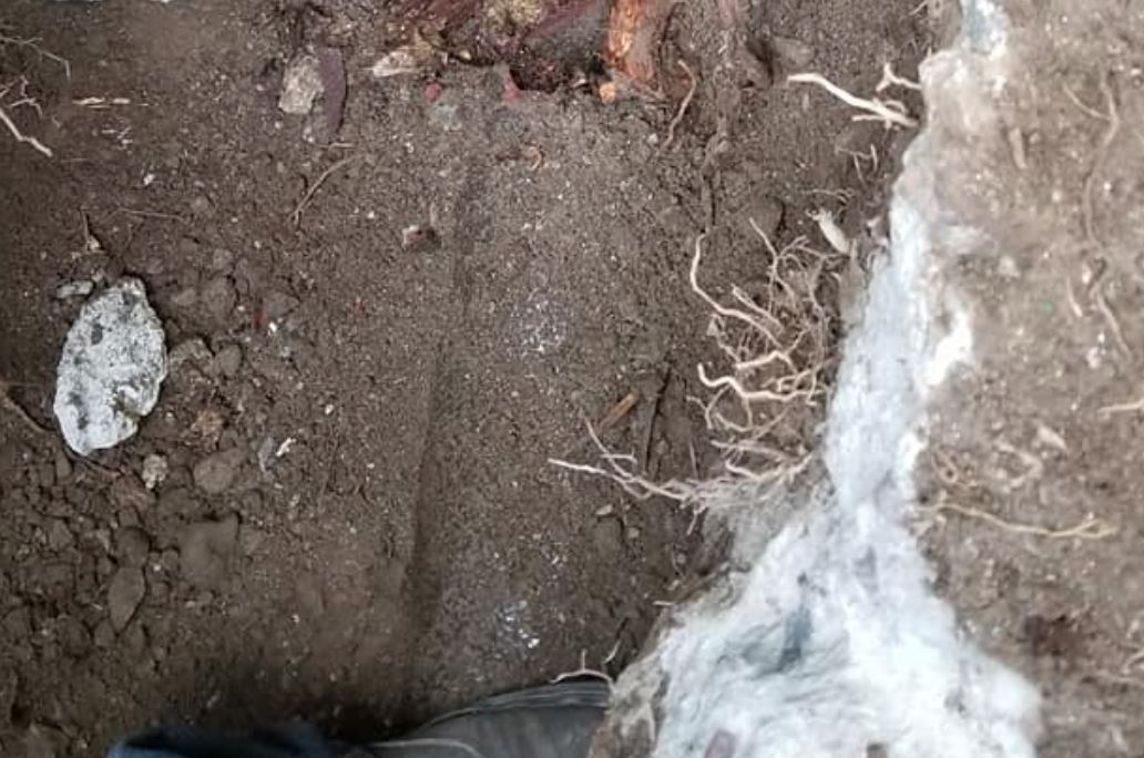 Plumber performing sewer line clog and root removal in Murrieta CA, exposing damaged underground pipe during residential plumbing repair.