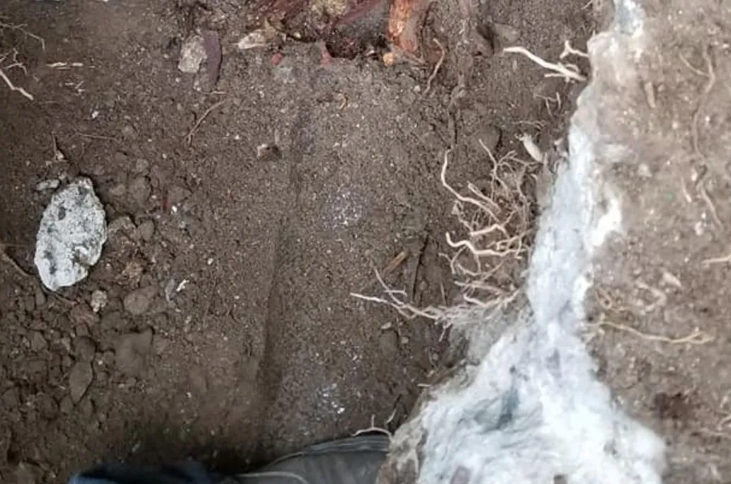 Plumber performing sewer line clog and root removal in Murrieta CA, exposing damaged underground pipe during residential plumbing repair.