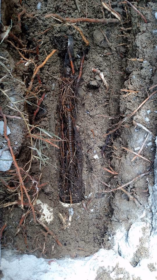 Blockage identification service in Murrieta, CA, with a pipe being cleared.