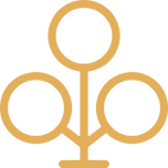 Simplified family icon of family tree in gold on a transparent background.