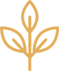 Gold Icon of plant representing natural materials.