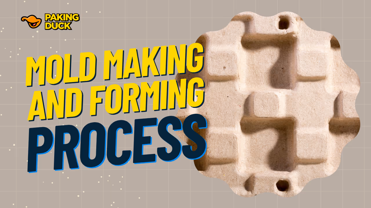 Text reading 'Mold Making and Forming Process' with a textured mold forming piece on a beige grid background and Paking Duck logo.