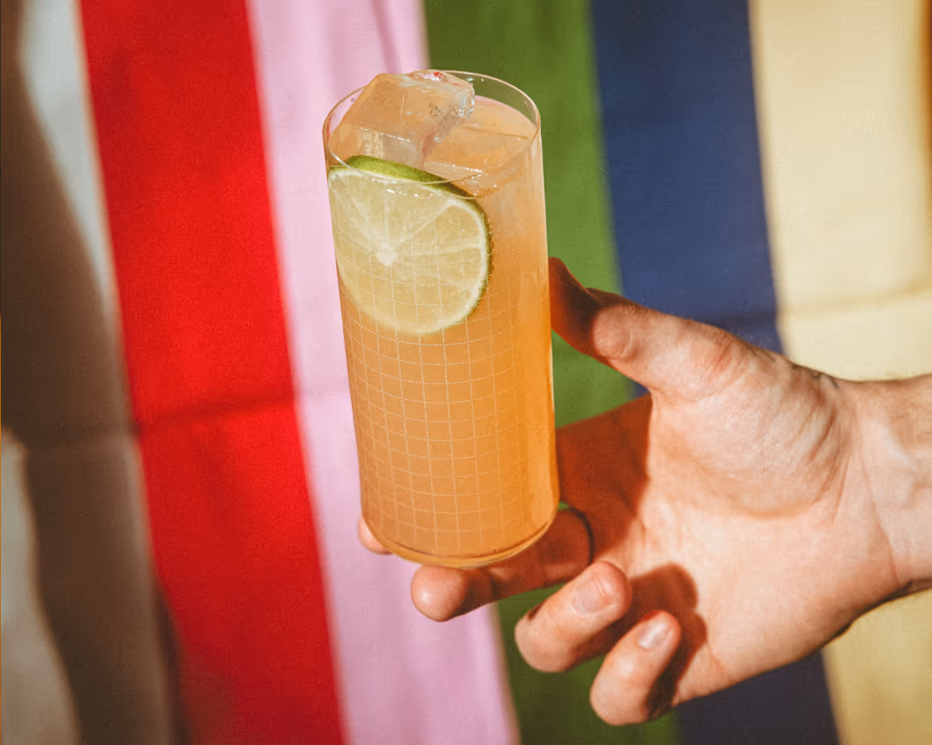 Fiesta Paloma