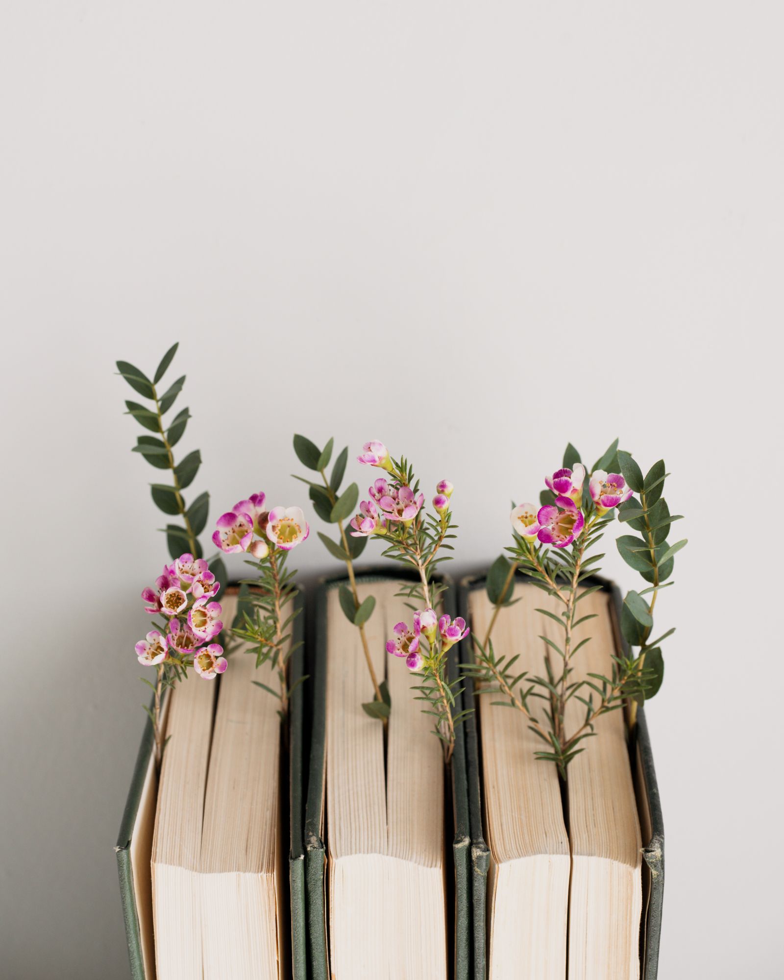 Four books standing upright with small purple and white flowers and green leaves placed between their pages against a plain light background.