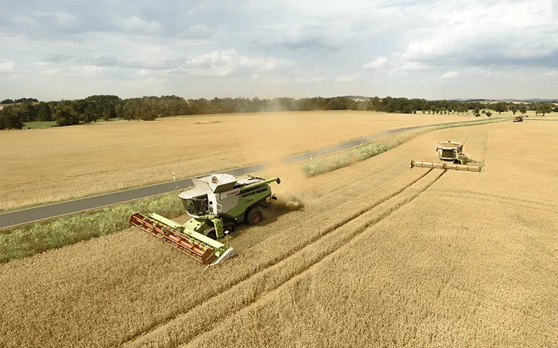 Blühstreifen und nachhaltige Landwirtschaftsflächen auf der Gutsverwaltung Schönfelder Hochland