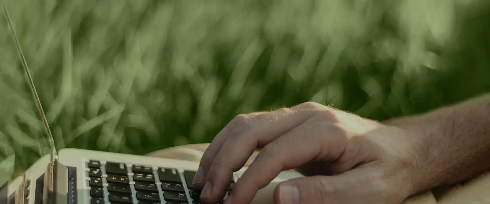 Person am Laptop im Gras