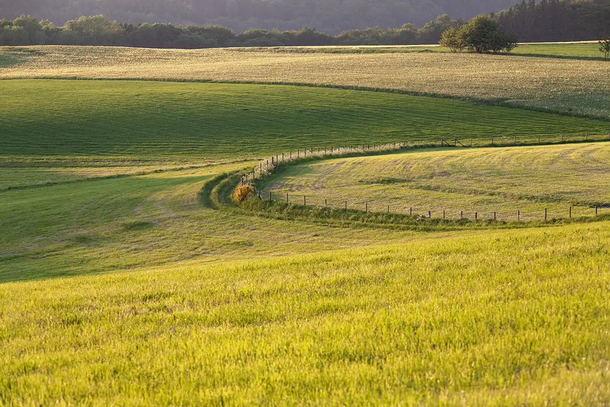 Weite Wiesen und Felder der Gutsverwaltung Schönfelder Hochland