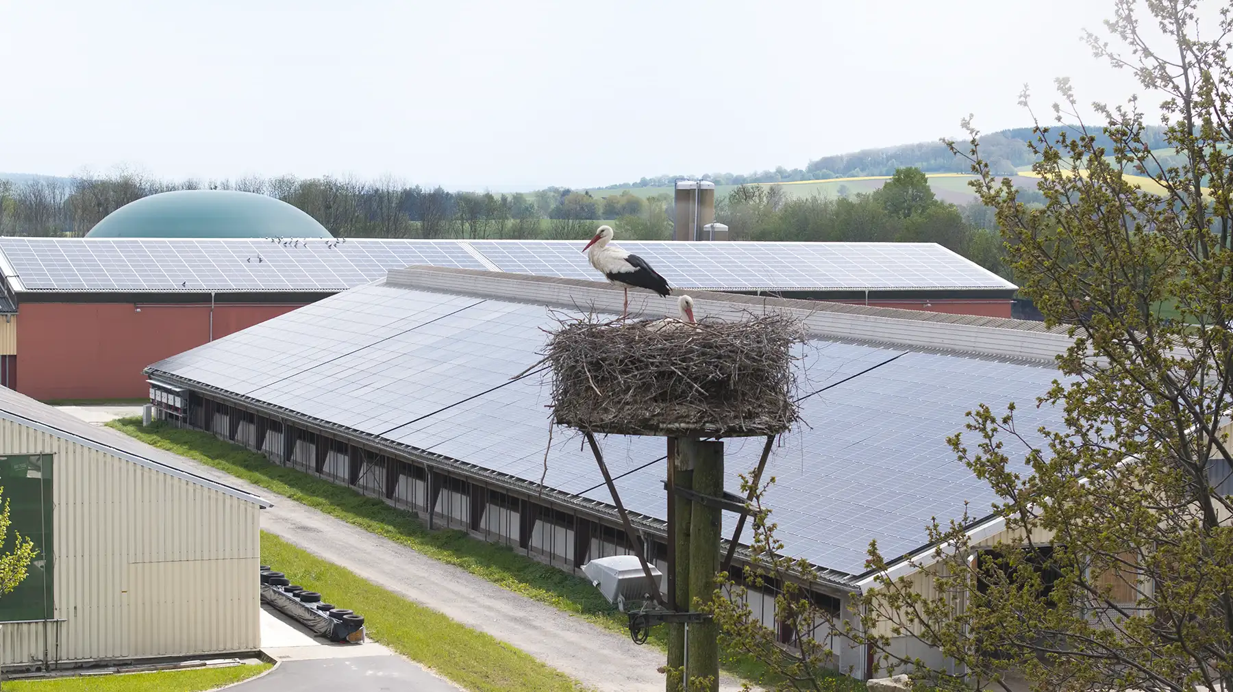 Photovoltaikanlage mit Storchennest der Gutsverwaltung Schönfelder Hochland