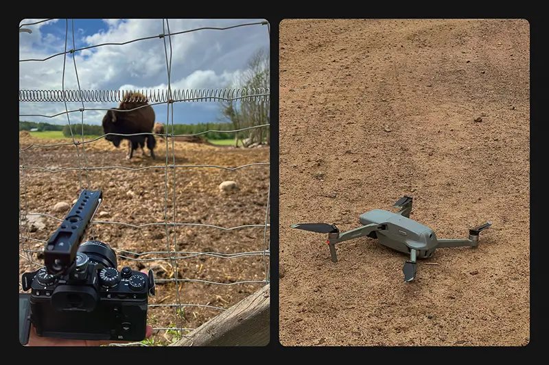A drone laying on dirt, and a camera pointing at a Bison 