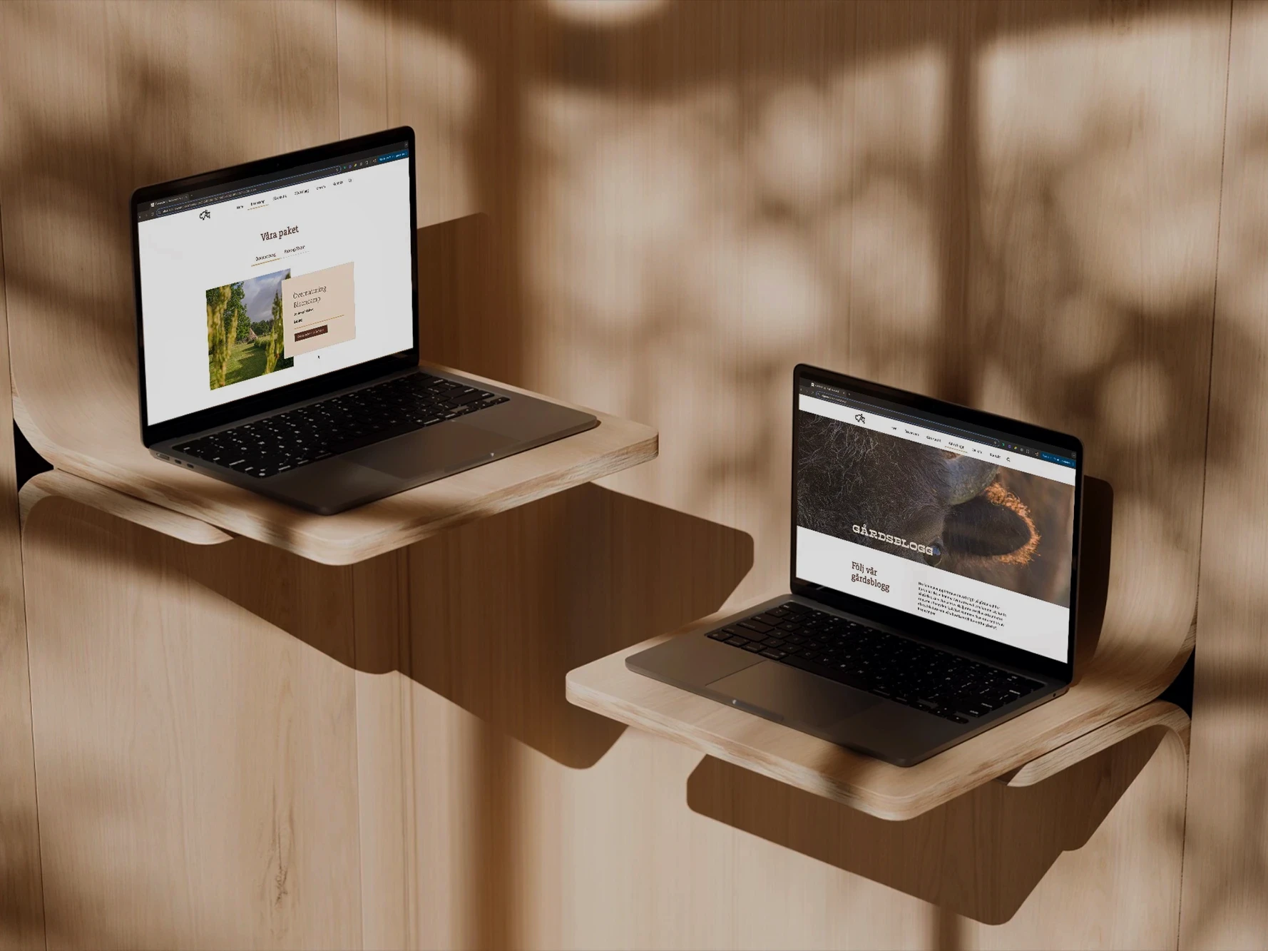 Two open laptops sit on separate floating wooden shelves against a light wood wall. Sunlight and tree shadows fall across the scene. Each laptop displays a different website on its screen.