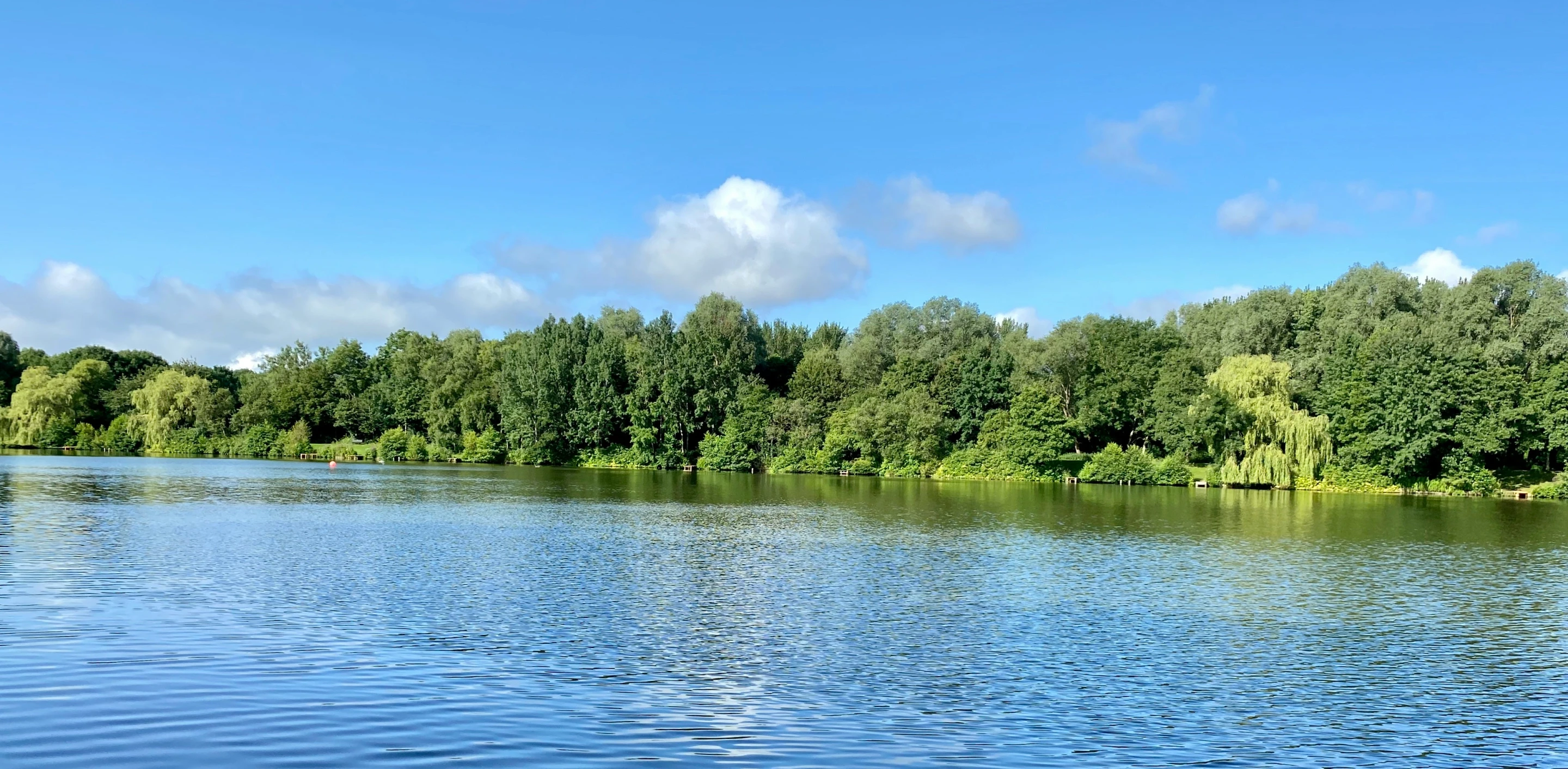 Building a Comprehensive Planning Process