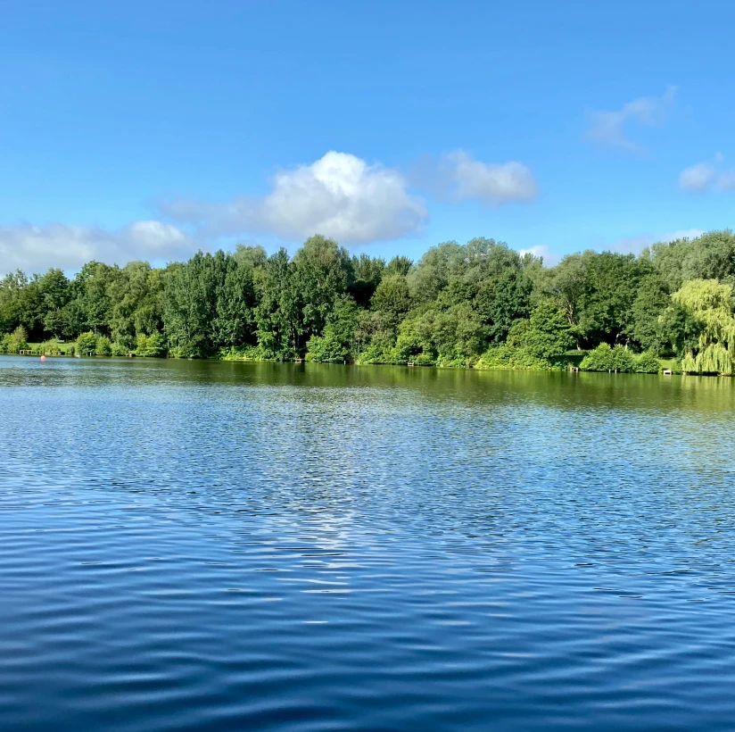 Building a Comprehensive Planning Process