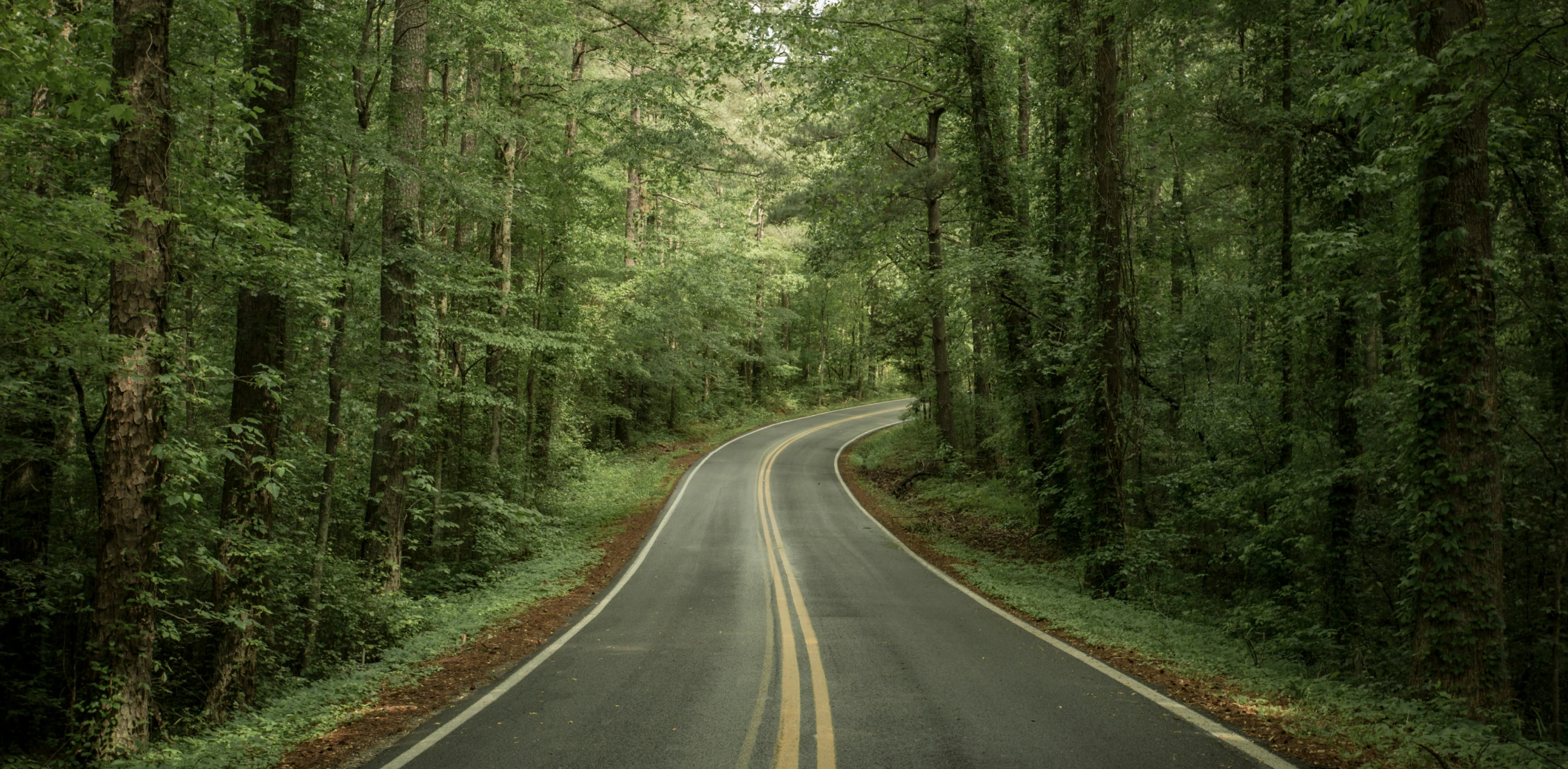 Behind our Philosophy at Highland Trust Partners