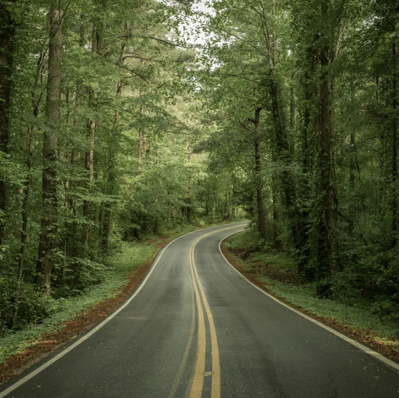 Behind our Philosophy at Highland Trust Partners