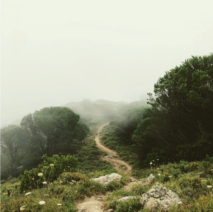 Planning with Purpose: Supporting Loved Ones with Special Needs