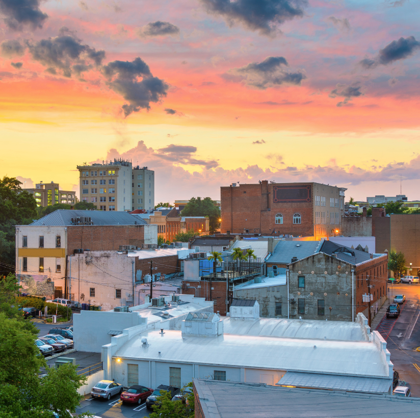 Summer 2025 Newsletter