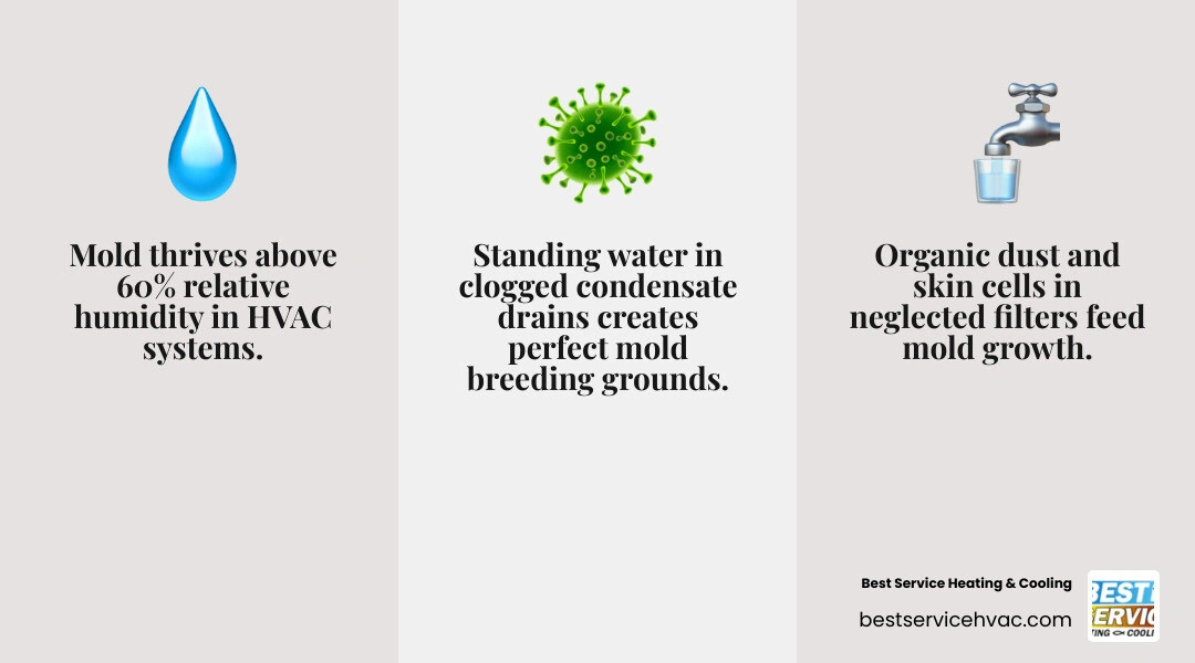 Infographic showing the mold growth cycle in residential HVAC systems including humidity triggers filter neglect and