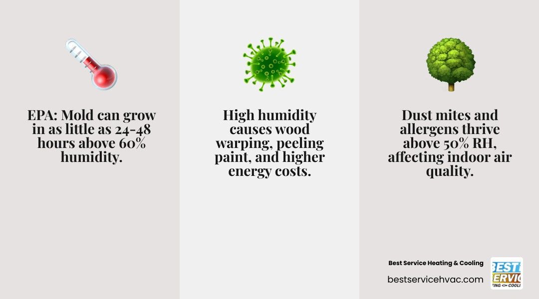 Infographic showing how excess humidity causes mold, dust mites, warped wood, poor air quality, and higher cooling costs in Infographic showing how excess humidity causes mold, dust mites, warped wood, poor air quality, and higher cooling costs in