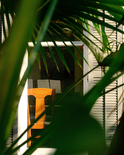 Wooden chair and open book viewed through a window framed by green palm leaves.
