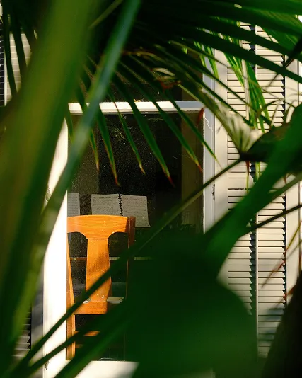 Wooden chair and open book viewed through a window framed by green palm leaves.