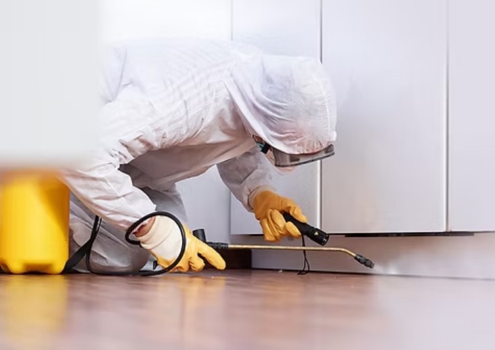 Pest Control Carson City, NV 