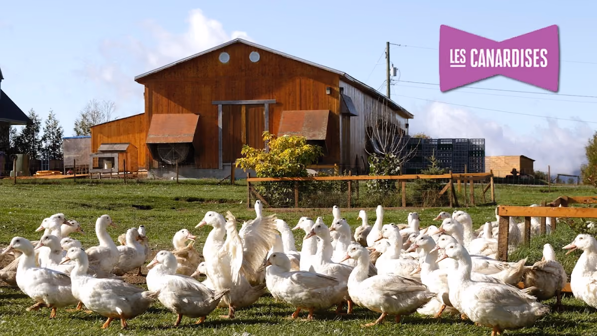 Les Canardises (Ferme)