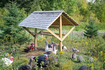 Volières Baie-St-Paul