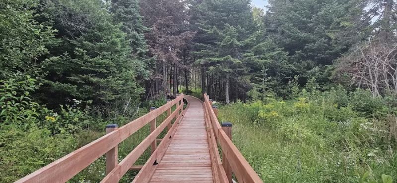 Curé Swamp Park