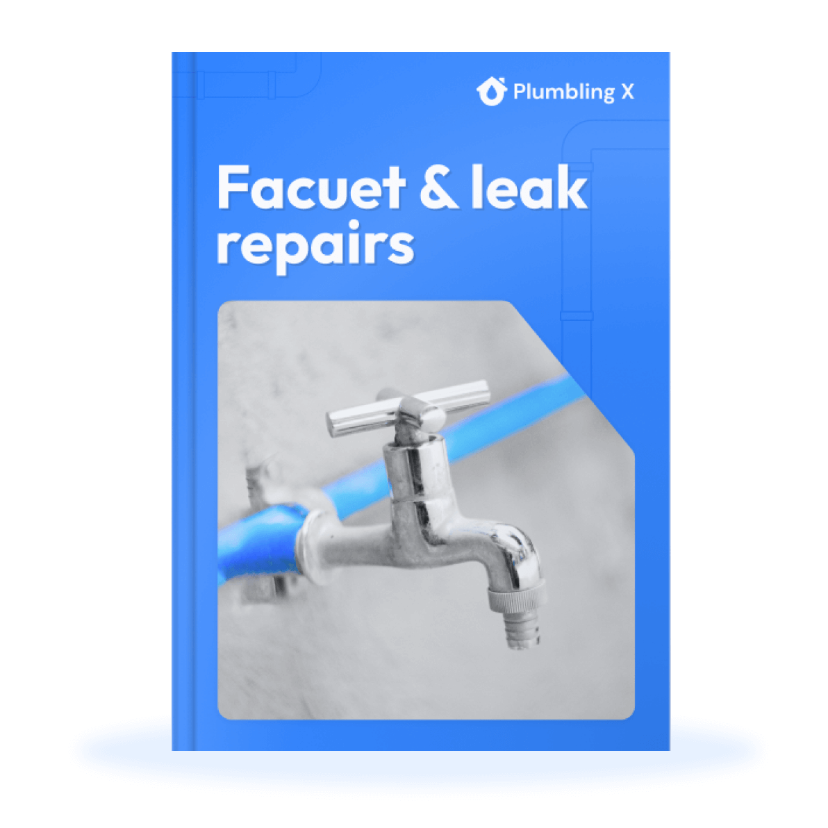 Faucet & leak repairs