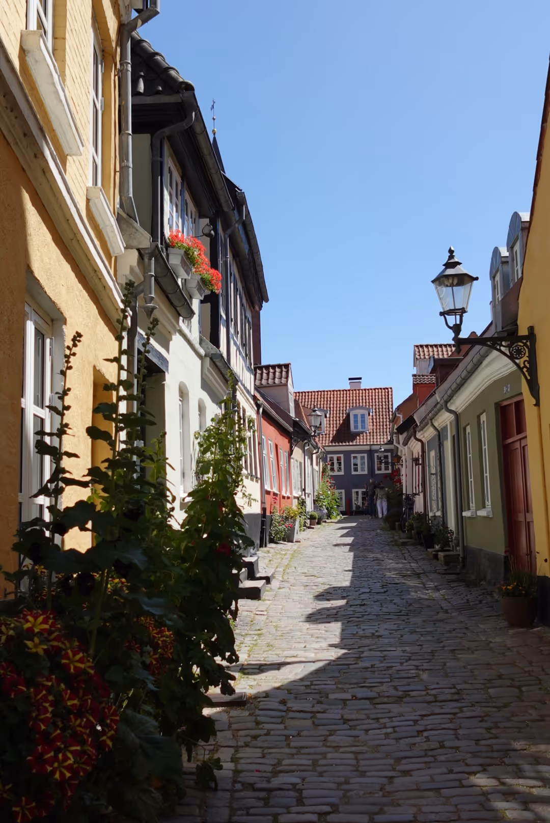 Narrow cobblestone street lined with colorful houses and flower plants under a clear blue sky.