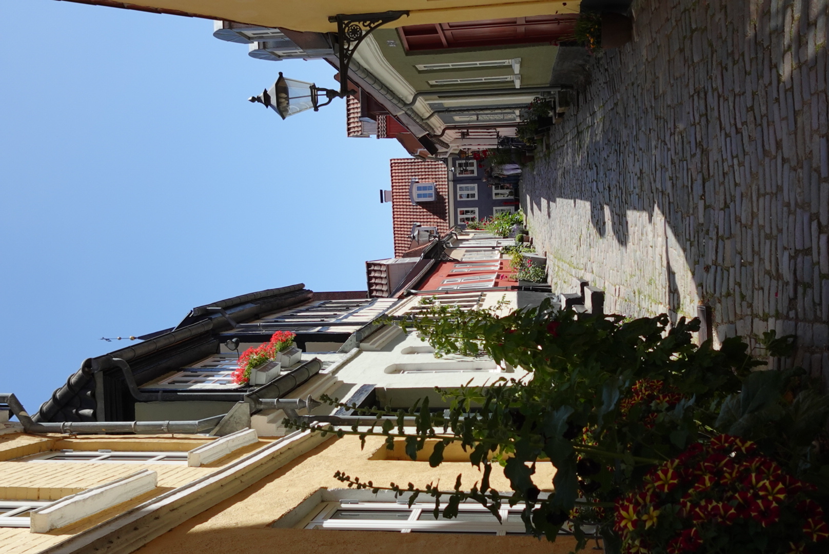 Narrow cobblestone street lined with colorful houses and flower plants under a clear blue sky.