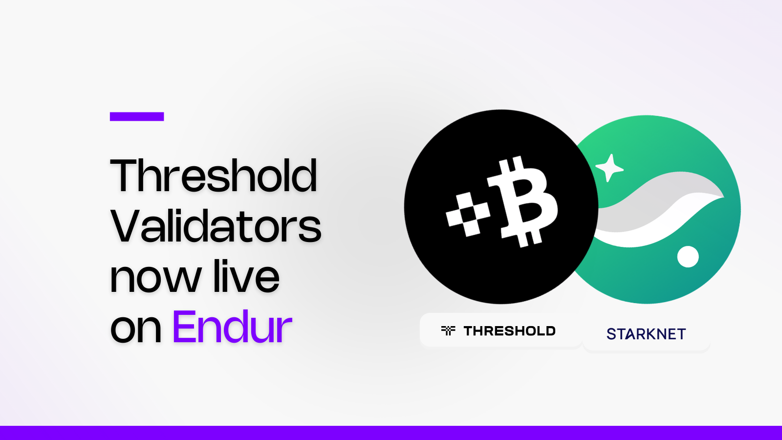 Endur Validator and Vault Integration on App
