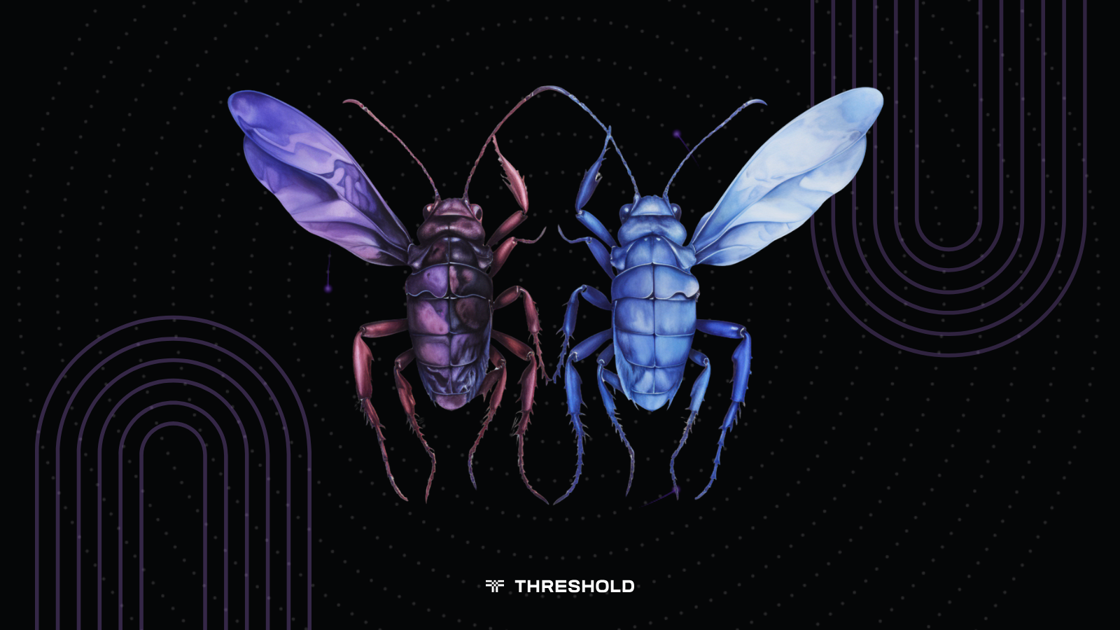 Matt Luongo of Threshold Network | A Tale of Two Bugs