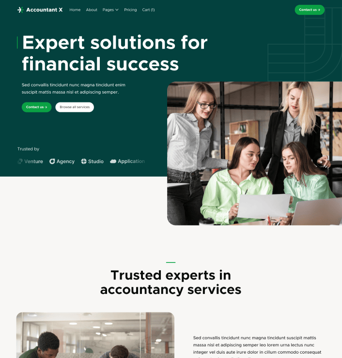 Accountant X - Home V2 Main Page - Accountant Webflow Template