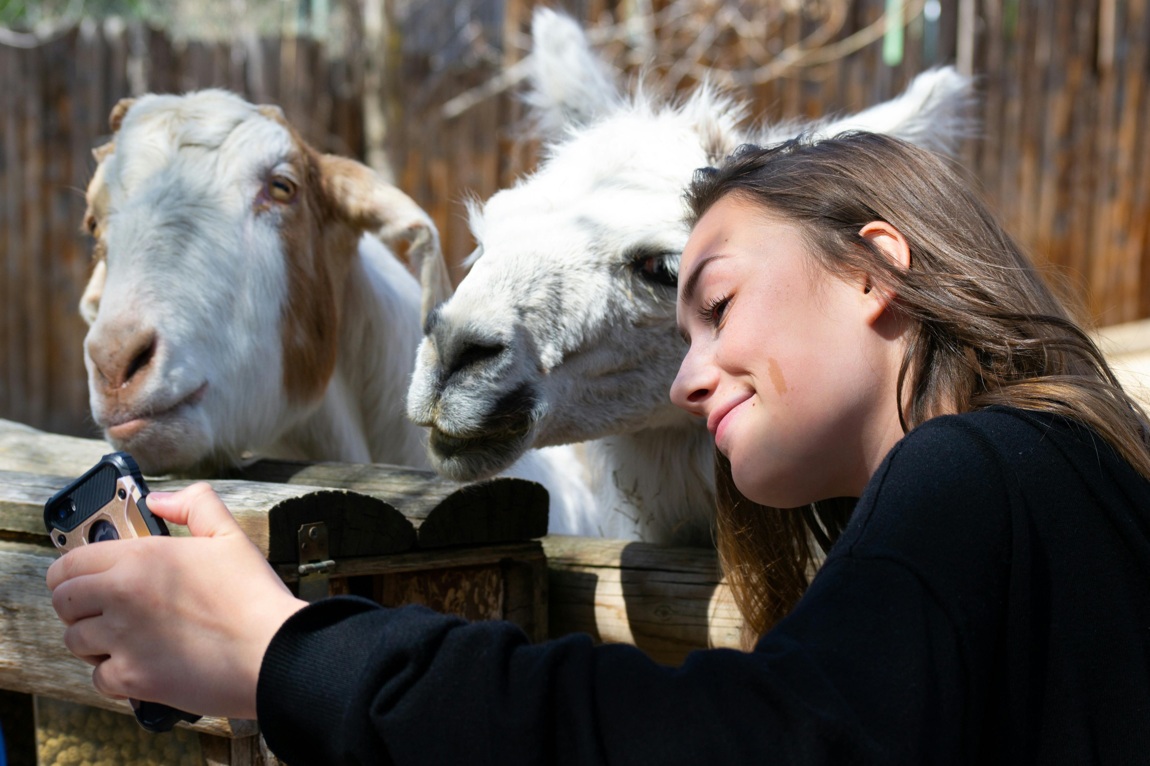 person at zoo stock image