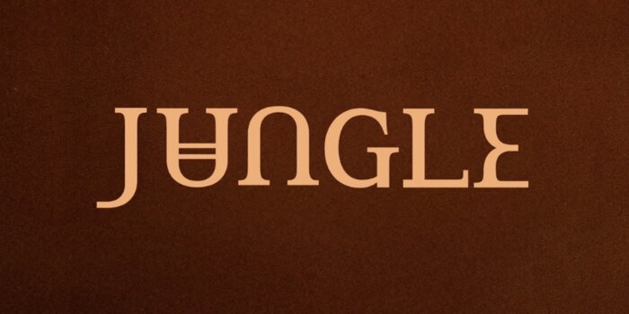 (Record Shop) Jungle Listening Party
