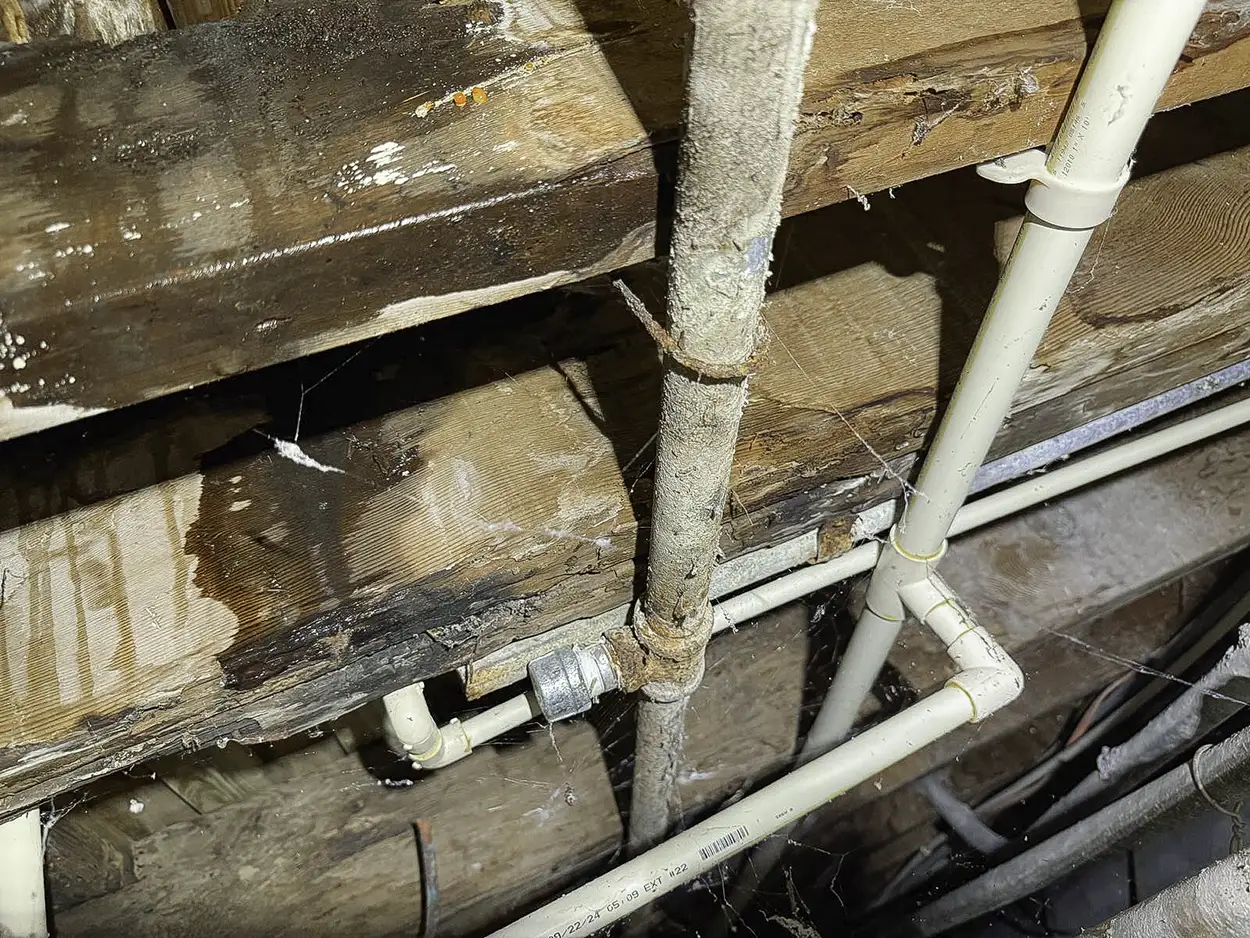 Wooden beams and pipes in a crawl space showing water damage and mold growth on a vertical metal pipe.