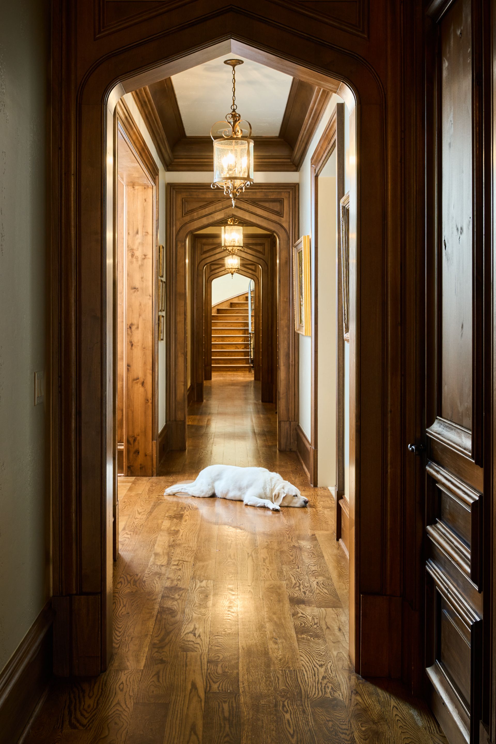 Deerwood, a custom residential project, featured image. Architectural photography by Omar Mohammad Studio.